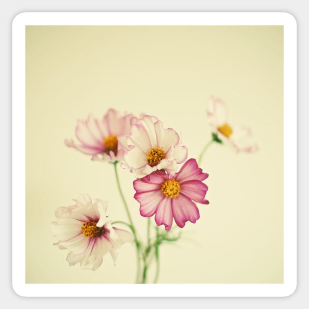 Summer Flowers Sticker by Cassia